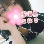 ヒメ日記 2025/05/29 21:00 投稿 こはる 深海魚