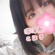 ヒメ日記 2025/06/03 21:00 投稿 こはる 深海魚