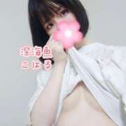 ヒメ日記 2025/06/15 21:00 投稿 こはる 深海魚