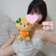 ヒメ日記 2025/06/29 21:00 投稿 こはる 深海魚