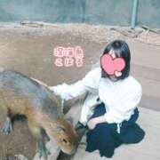 ヒメ日記 2025/07/08 21:00 投稿 こはる 深海魚