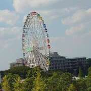 ヒメ日記 2025/08/04 00:43 投稿 こはる 深海魚