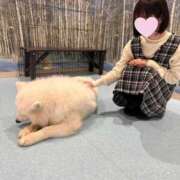 ヒメ日記 2025/09/05 21:00 投稿 こはる 深海魚