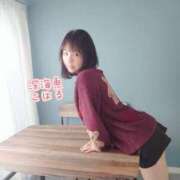 ヒメ日記 2025/11/02 21:45 投稿 こはる 深海魚