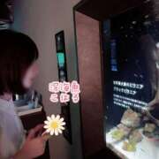 ヒメ日記 2025/11/22 21:00 投稿 こはる 深海魚