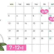 ヒメ日記 2025/12/22 21:02 投稿 こはる 深海魚