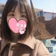 こはる 名古屋グルメたまりませんな 深海魚