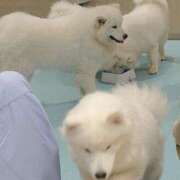 ヒメ日記 2026/03/14 05:45 投稿 こはる 深海魚