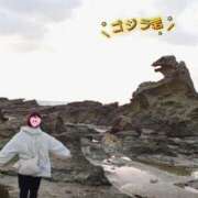 ヒメ日記 2026/04/23 21:00 投稿 こはる 深海魚
