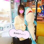 ヒメ日記 2026/04/30 22:01 投稿 こはる 深海魚