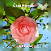 ヒメ日記 2024/12/11 06:01 投稿 せつこ 完熟ばなな 上野店