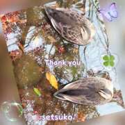 ヒメ日記 2024/12/14 06:01 投稿 せつこ 完熟ばなな 上野店