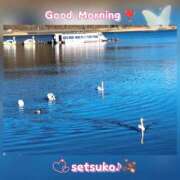 ヒメ日記 2024/12/27 06:00 投稿 せつこ 完熟ばなな 上野店