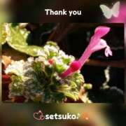 ヒメ日記 2025/01/14 09:55 投稿 せつこ 完熟ばなな 上野店