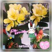 ヒメ日記 2025/01/20 14:47 投稿 せつこ 完熟ばなな 上野店