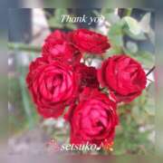 ヒメ日記 2025/01/21 09:35 投稿 せつこ 完熟ばなな 上野店