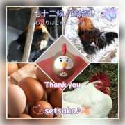 ヒメ日記 2025/01/31 05:45 投稿 せつこ 完熟ばなな 上野店