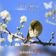 ヒメ日記 2025/02/01 23:14 投稿 せつこ 完熟ばなな 上野店