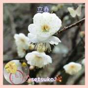 ヒメ日記 2025/02/03 09:52 投稿 せつこ 完熟ばなな 上野店