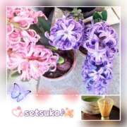 ヒメ日記 2025/02/06 18:22 投稿 せつこ 完熟ばなな 上野店