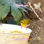 ヒメ日記 2025/02/10 09:42 投稿 せつこ 完熟ばなな 上野店