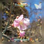 ヒメ日記 2025/02/13 23:19 投稿 せつこ 完熟ばなな 上野店