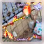 ヒメ日記 2025/02/19 06:00 投稿 せつこ 完熟ばなな 上野店