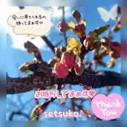 ヒメ日記 2025/02/19 14:47 投稿 せつこ 完熟ばなな 上野店