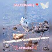 ヒメ日記 2025/02/25 06:00 投稿 せつこ 完熟ばなな 上野店