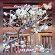 ヒメ日記 2025/02/26 06:15 投稿 せつこ 完熟ばなな 上野店