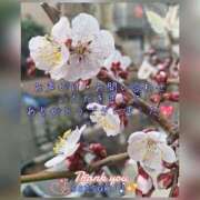 ヒメ日記 2025/02/28 18:44 投稿 せつこ 完熟ばなな 上野店