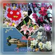 ヒメ日記 2025/02/28 23:00 投稿 せつこ 完熟ばなな 上野店