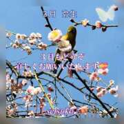 ヒメ日記 2025/03/01 10:47 投稿 せつこ 完熟ばなな 上野店