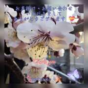 ヒメ日記 2025/03/05 13:01 投稿 せつこ 完熟ばなな 上野店