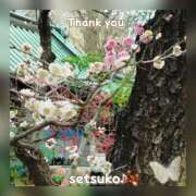 ヒメ日記 2025/03/08 07:01 投稿 せつこ 完熟ばなな 上野店