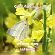 ヒメ日記 2025/03/15 06:40 投稿 せつこ 完熟ばなな 上野店