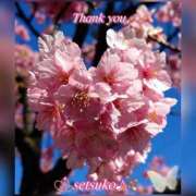 ヒメ日記 2025/03/20 22:40 投稿 せつこ 完熟ばなな 上野店