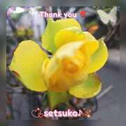 ヒメ日記 2025/03/23 07:20 投稿 せつこ 完熟ばなな 上野店