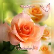 ヒメ日記 2025/03/24 07:20 投稿 せつこ 完熟ばなな 上野店