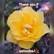 ヒメ日記 2025/03/24 16:00 投稿 せつこ 完熟ばなな 上野店