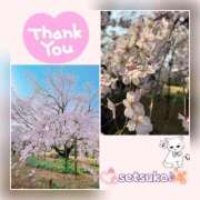 ヒメ日記 2025/03/28 06:50 投稿 せつこ 完熟ばなな 上野店