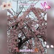 ヒメ日記 2025/03/28 18:01 投稿 せつこ 完熟ばなな 上野店