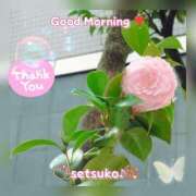 ヒメ日記 2025/03/29 06:50 投稿 せつこ 完熟ばなな 上野店