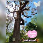 ヒメ日記 2025/03/31 15:30 投稿 せつこ 完熟ばなな 上野店