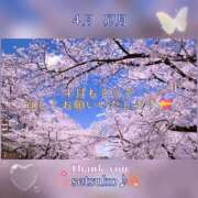 ヒメ日記 2025/04/01 06:20 投稿 せつこ 完熟ばなな 上野店