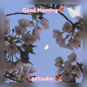 ヒメ日記 2025/04/05 10:01 投稿 せつこ 完熟ばなな 上野店