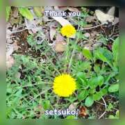 ヒメ日記 2025/04/07 10:50 投稿 せつこ 完熟ばなな 上野店