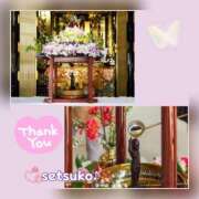 ヒメ日記 2025/04/08 11:50 投稿 せつこ 完熟ばなな 上野店