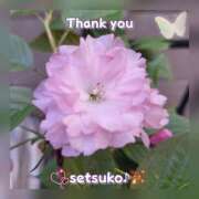 ヒメ日記 2025/04/10 23:20 投稿 せつこ 完熟ばなな 上野店