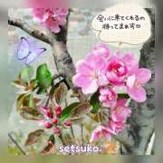 ヒメ日記 2025/04/11 15:30 投稿 せつこ 完熟ばなな 上野店